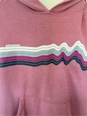 Patagonia Kids Graphic Hoodie | Pink Pullover Hoodie | Excellent Condition | L